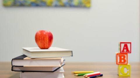 Which type of education is right for you