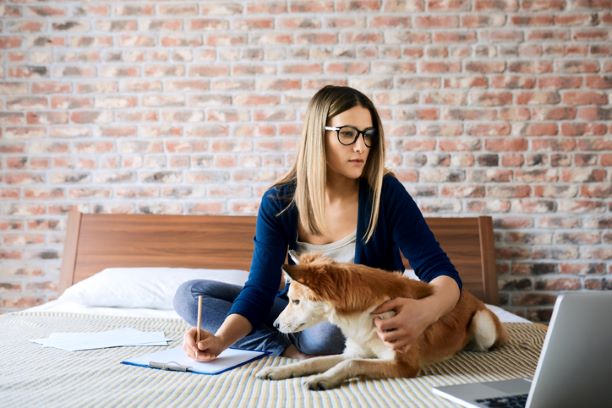 Studying on a bed with pets