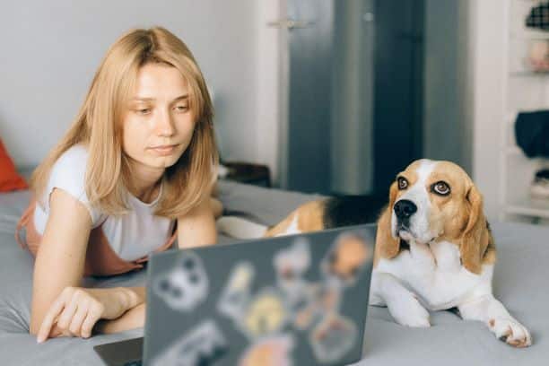 Studying with a pet